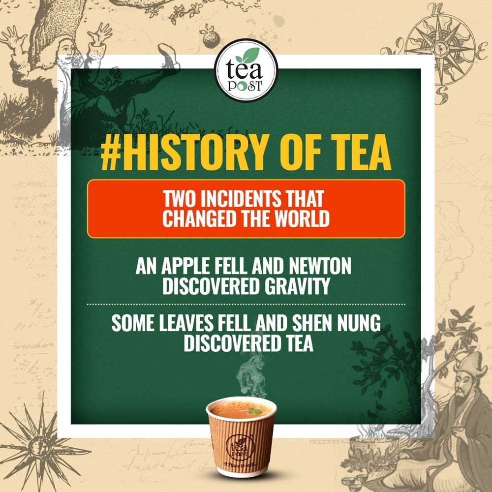 A graphical image representing the "History of Tea"